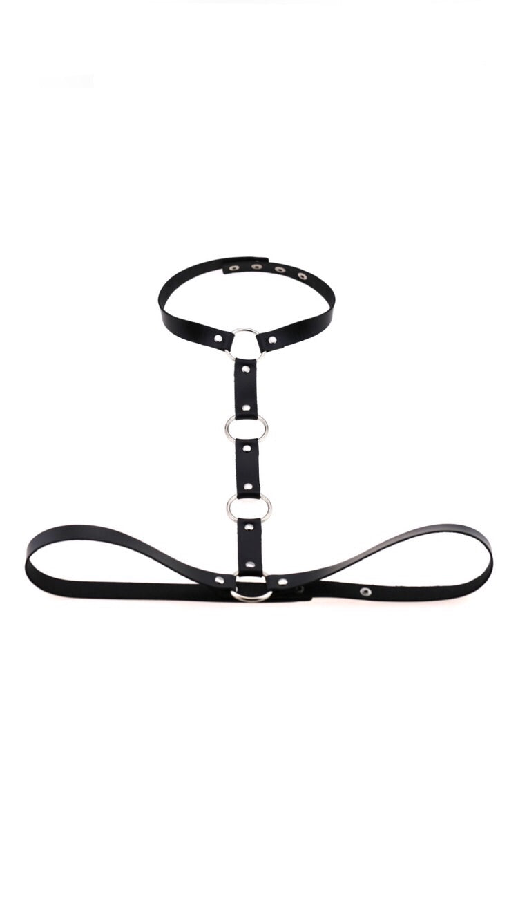 BLACK 4 RING HARNESS