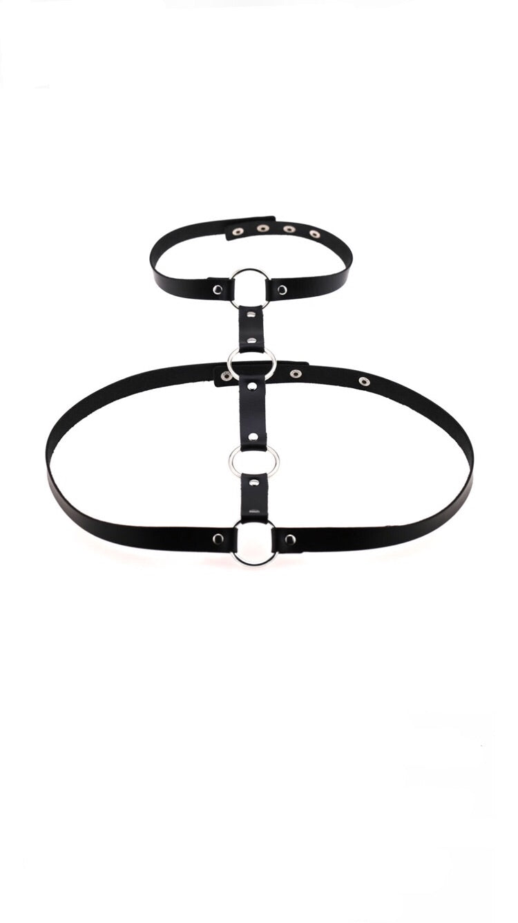 BLACK 4 RING HARNESS